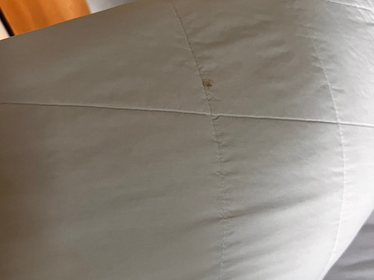 Microtel Inn & Suites by Wyndham Ames主图