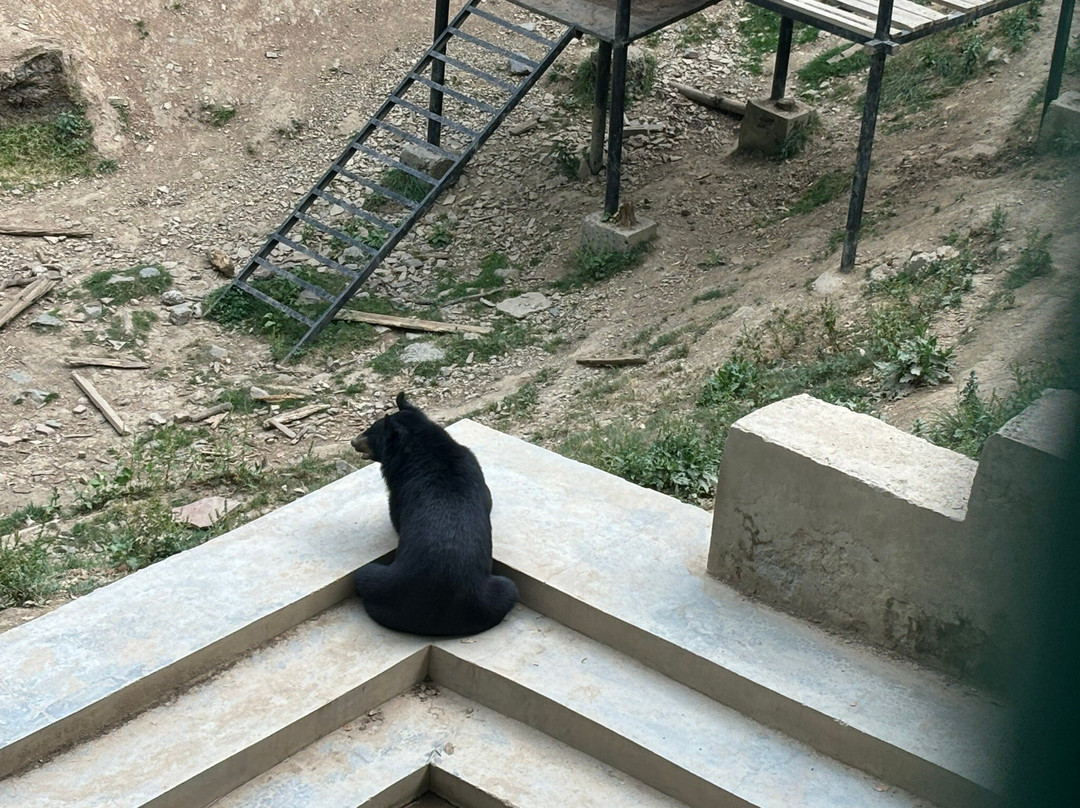 Himalayan Nature Park-Kufri必去景点