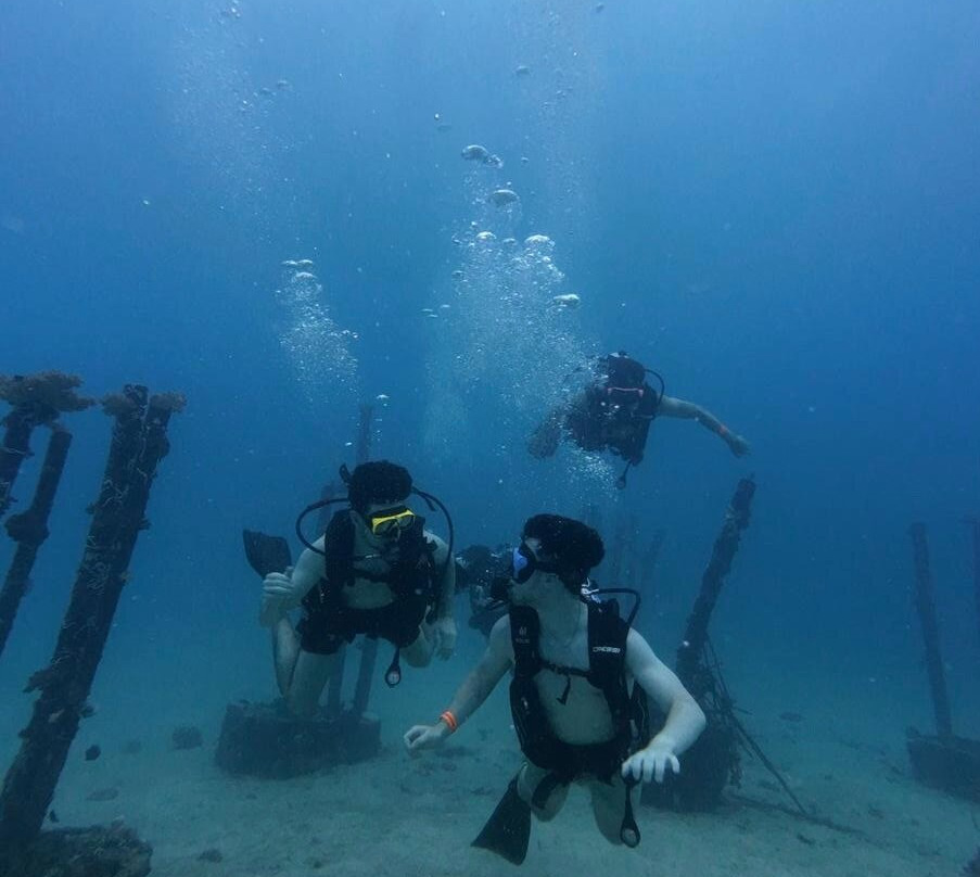 Mojo Divers-涛岛必去景点