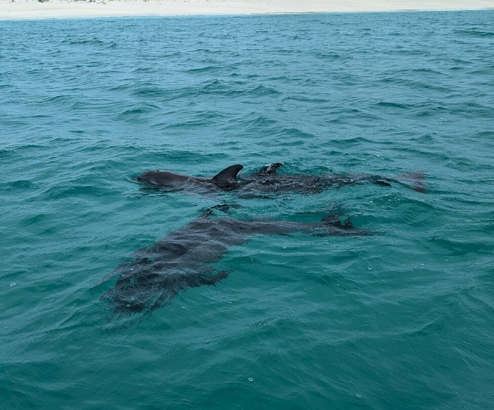 Turks Ventures by Drex-普罗维登西亚莱斯必去景点