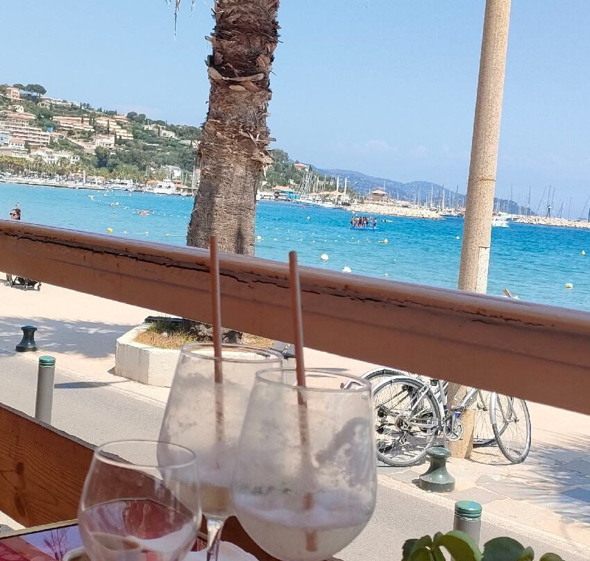 Flamenco Plage