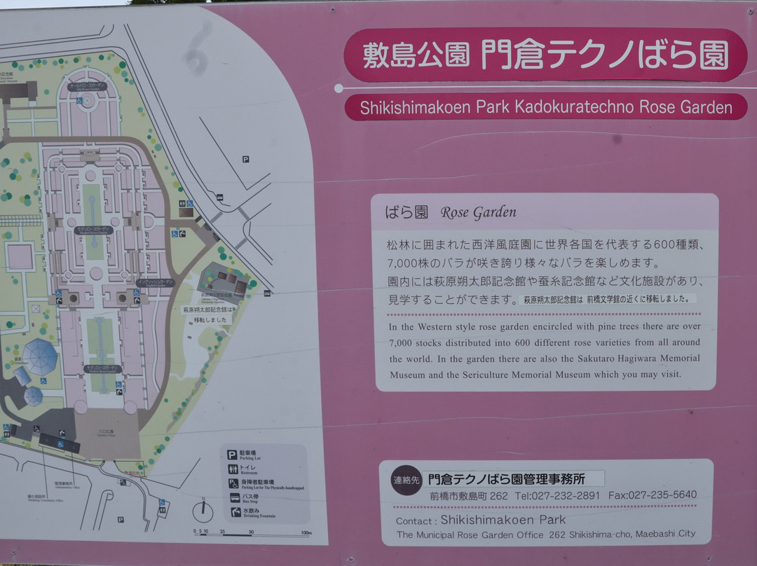 Shikishima Parfk Rose Garden-前桥县必去景点