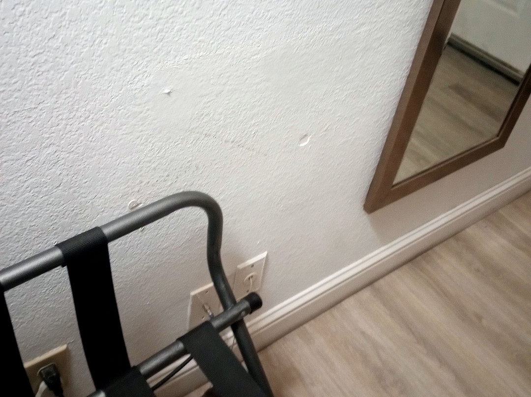 Quality Inn & Suites Redwood Coast主图