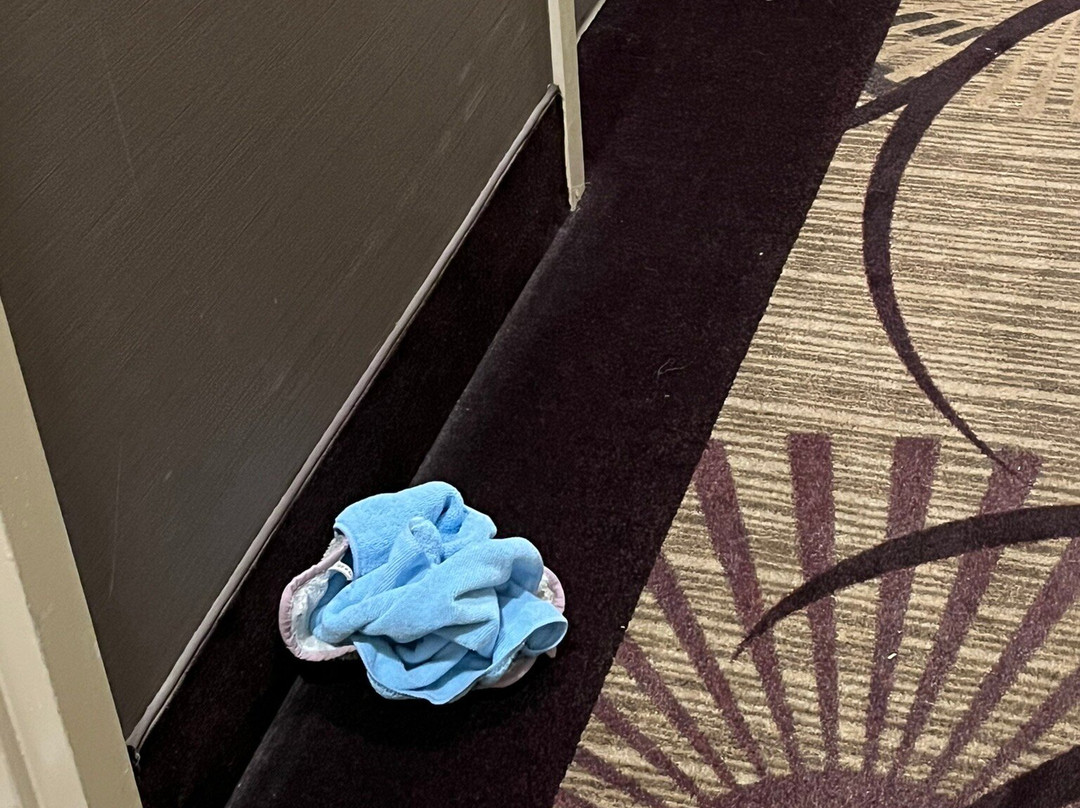 Best Western Plus Steeplegate Inn主图