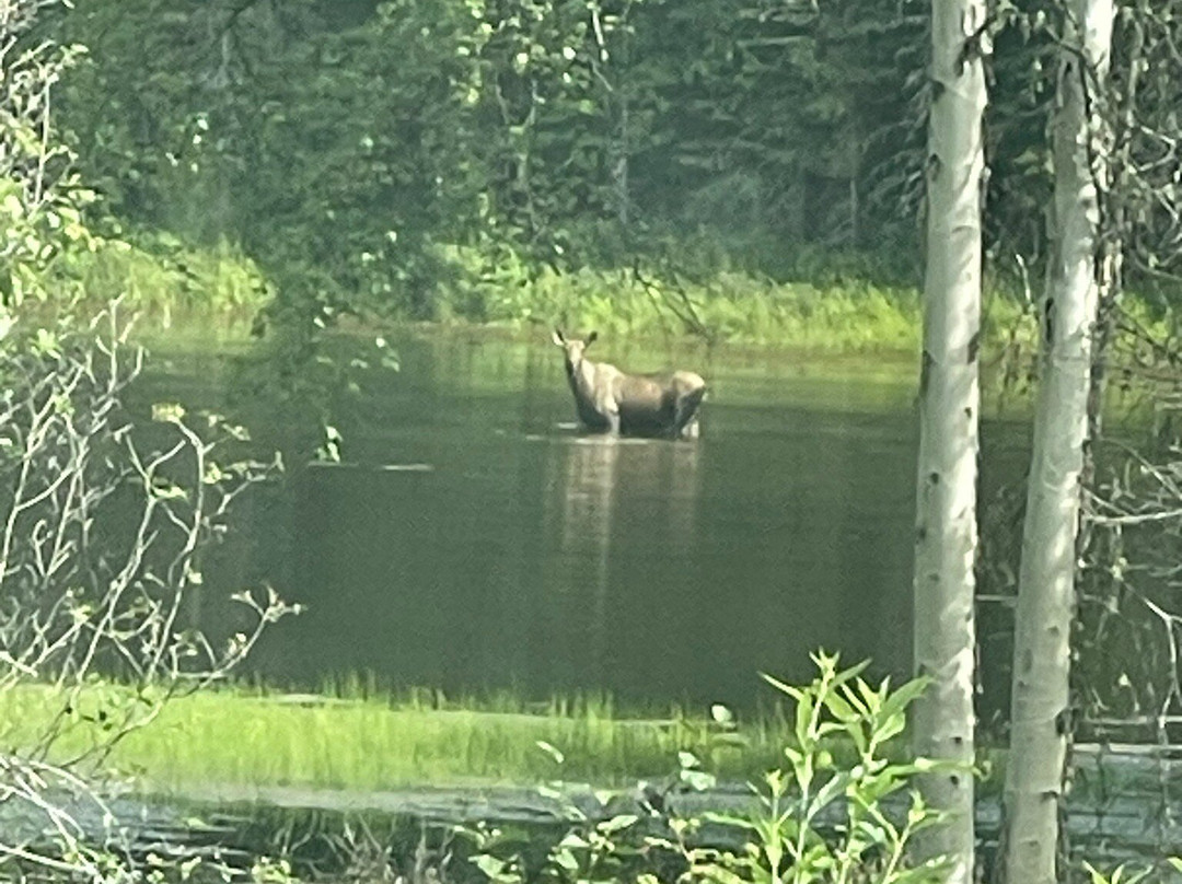 Chena River Lakes Recreation Area-北极必去景点