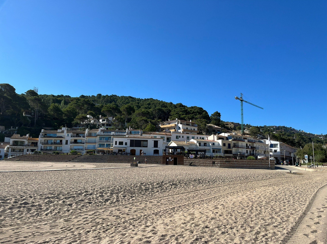 Playa Sa Riera景点图片