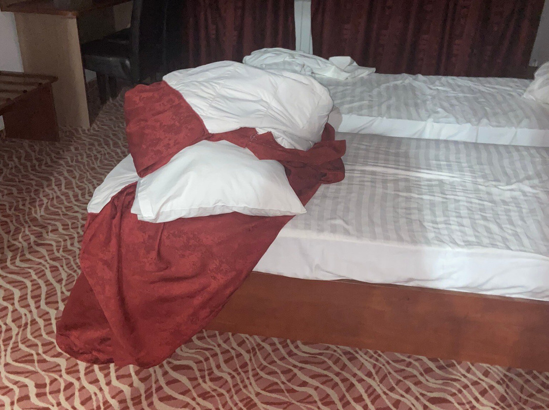 Hotel Flora主图