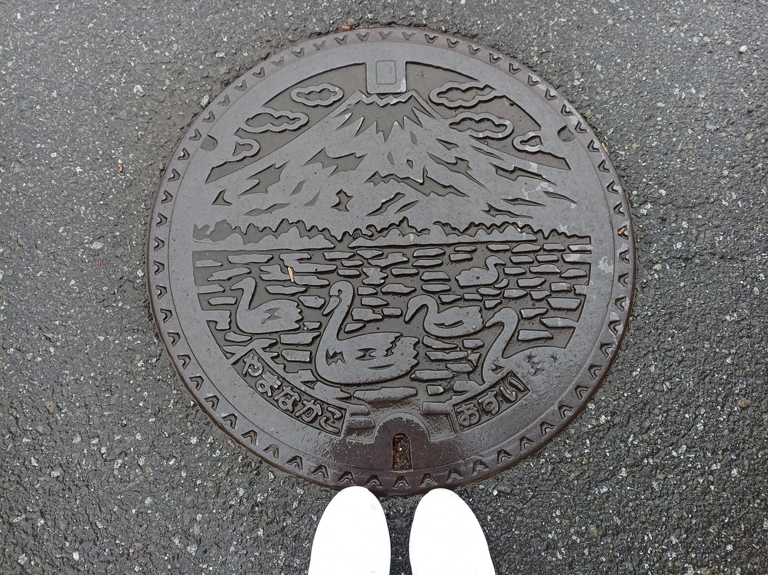 Hirano Lake Shore景点图片