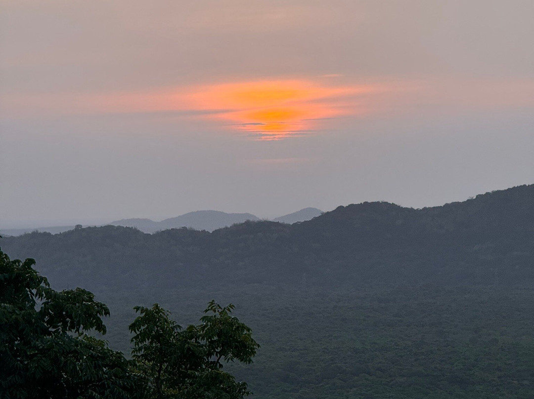 Dreamscape Lanka Tours景点图片