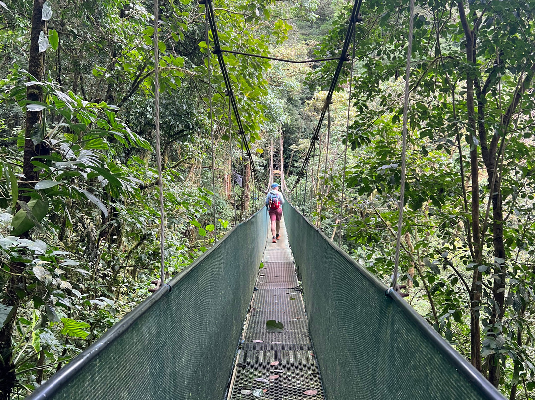 Heliconias Hanging Bridges Trails-Bijagua de Upala必去景点