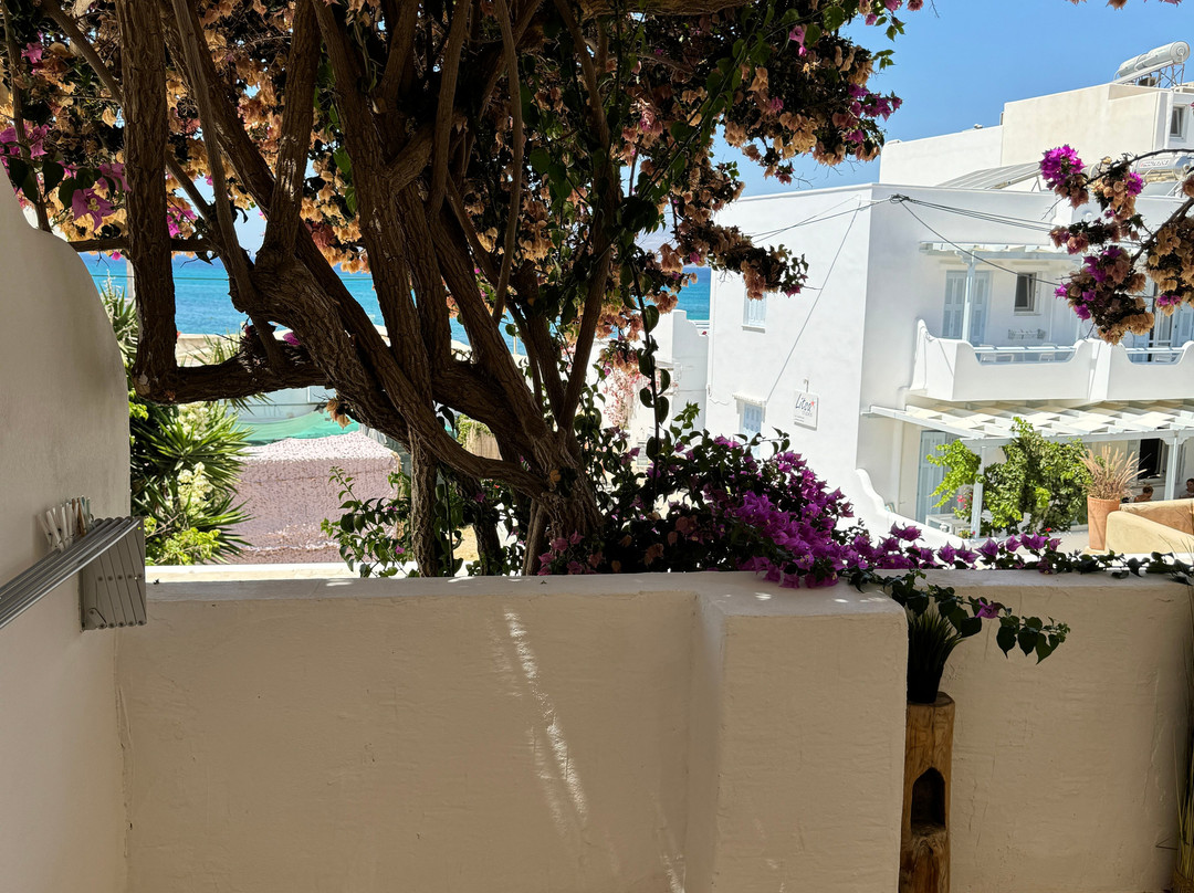 Sea Nymphs Suites主图