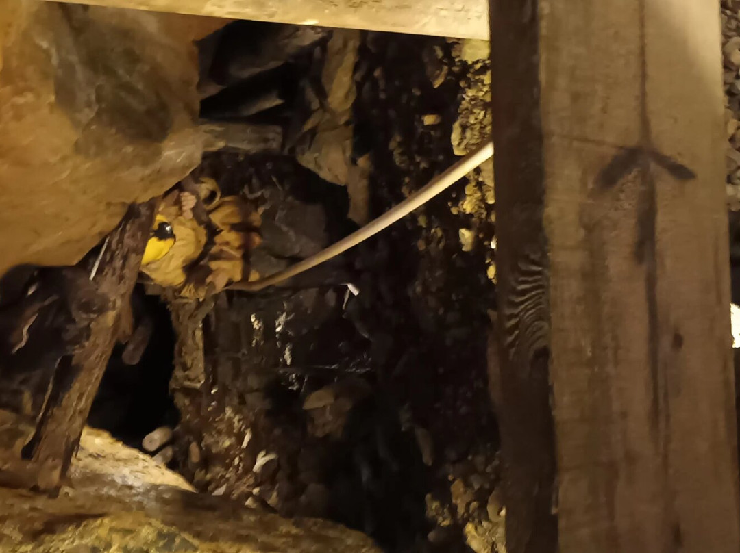 South Tyrol Museum of Mining - Predoi景点图片