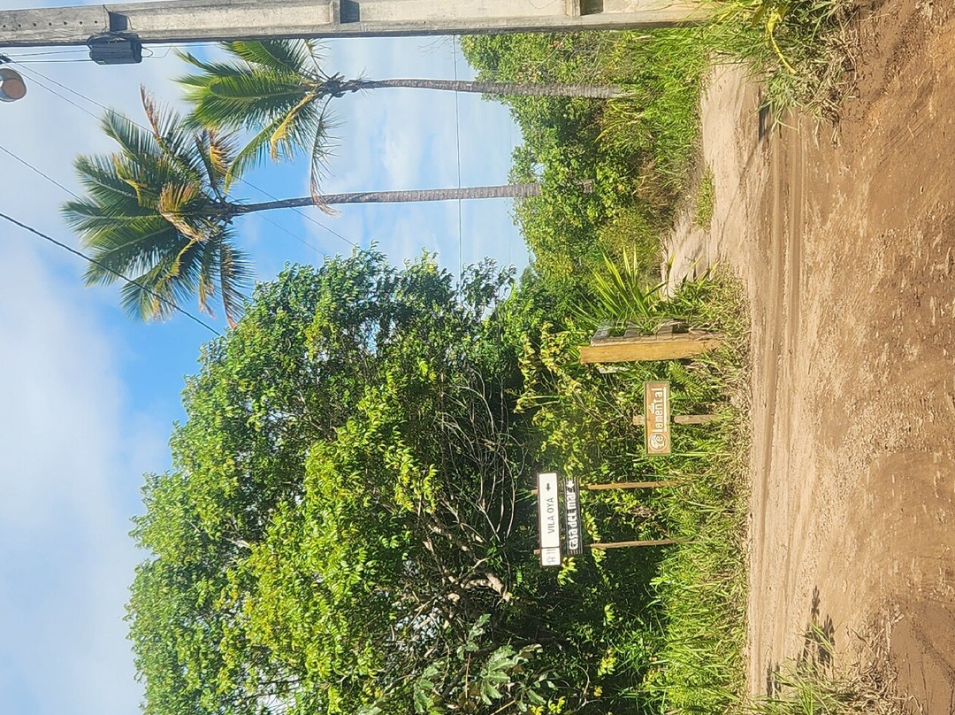 Algodoes Beach-Barra Grande必去景点