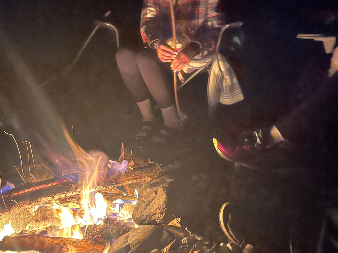 Muskoka Bay Resort主图