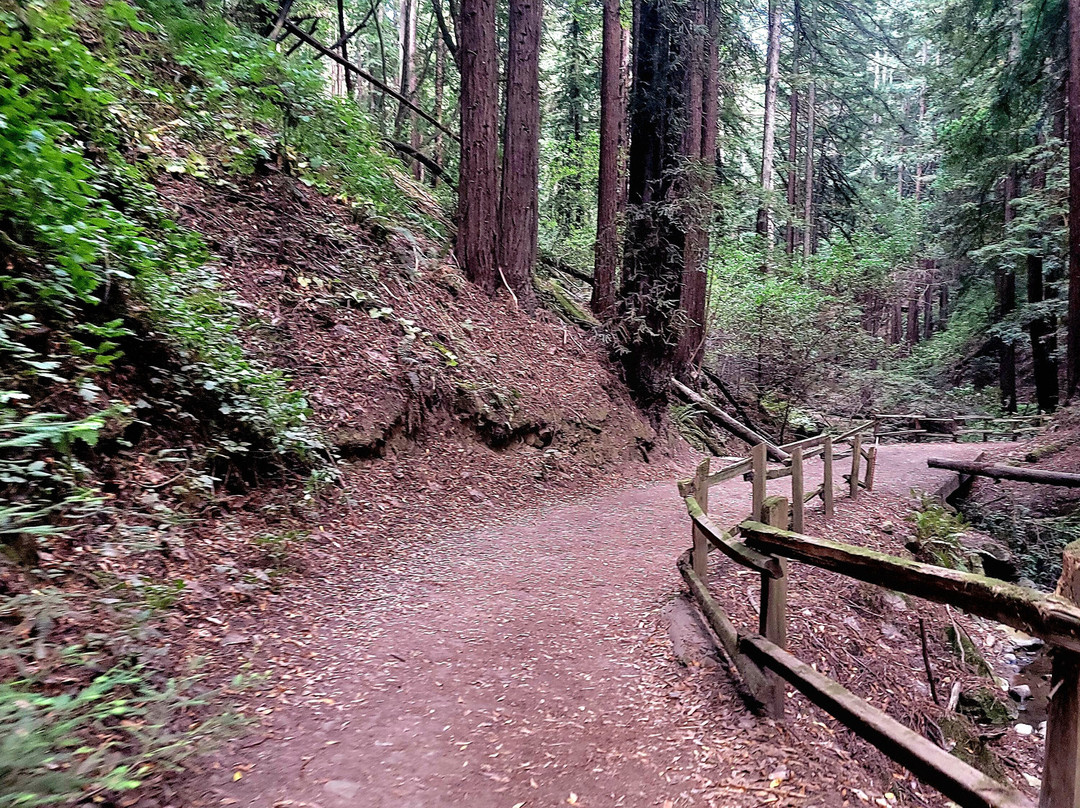 Roberts Regional Recreation Area-奥克兰必去景点