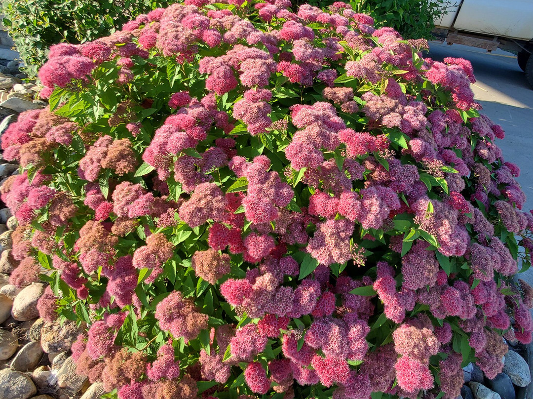 GrandStay Hotel and Suites主图