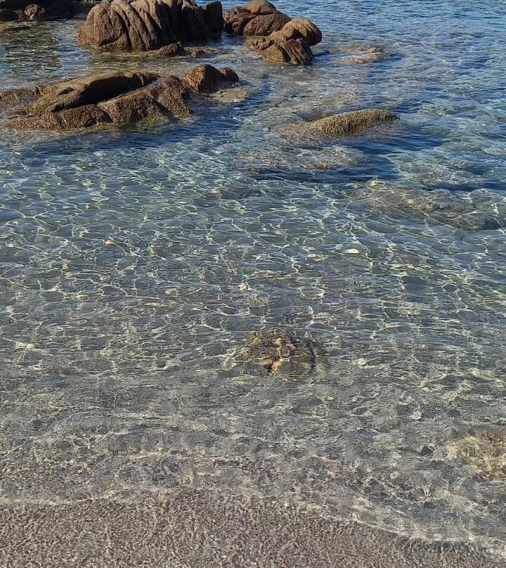 Plage d'Acciaju-维琪奥港必去景点