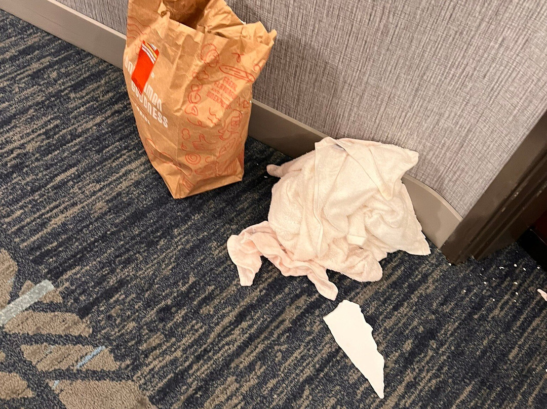 Holiday Inn Express Rochester South - Mayo Area By Ihg主图