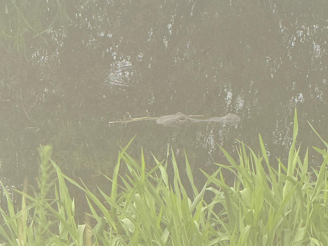 Kissimmee Prairie Preserve State Park-奥基乔比必去景点