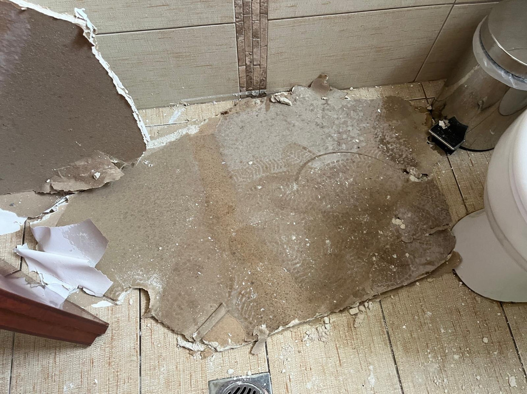 麦缇斯凯斯瑞泽顿斯酒店主图