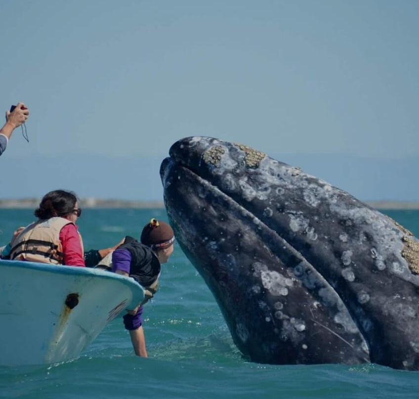 Hotel Alcatraz - San Carlos主图