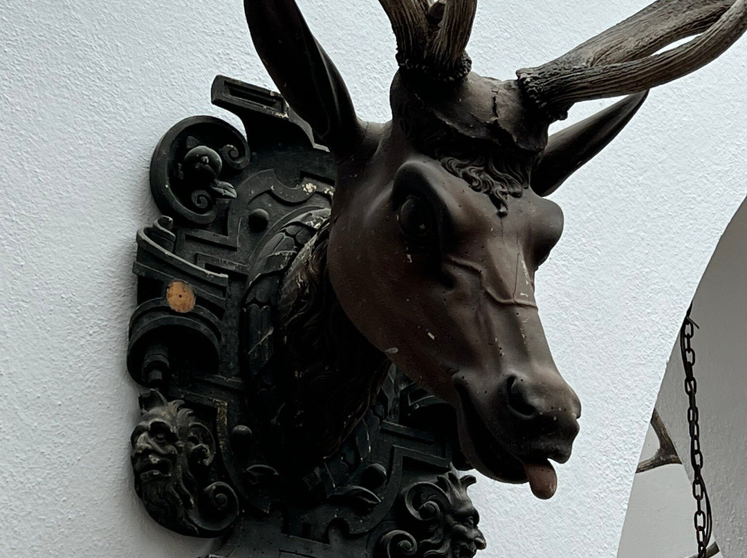 Museum Reichenstein景点图片