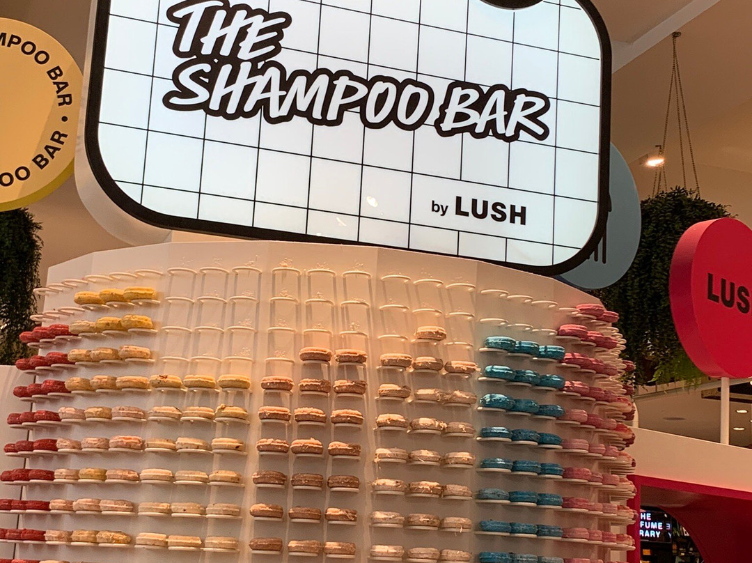 Lush-利物浦必去景点