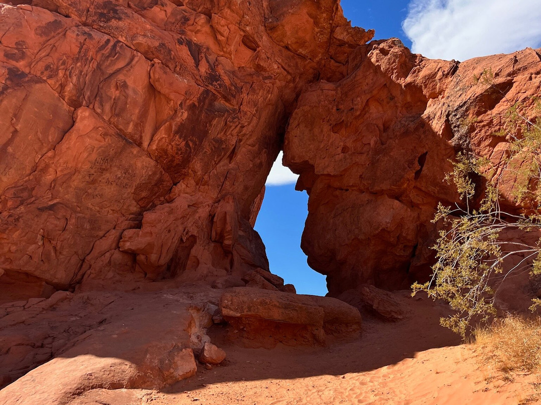 Adrenaline ATV Tours-拉斯维加斯必去景点