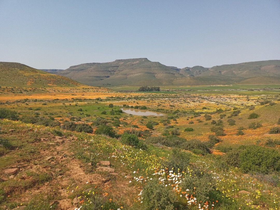 Capey Tours-开普敦中心区必去景点