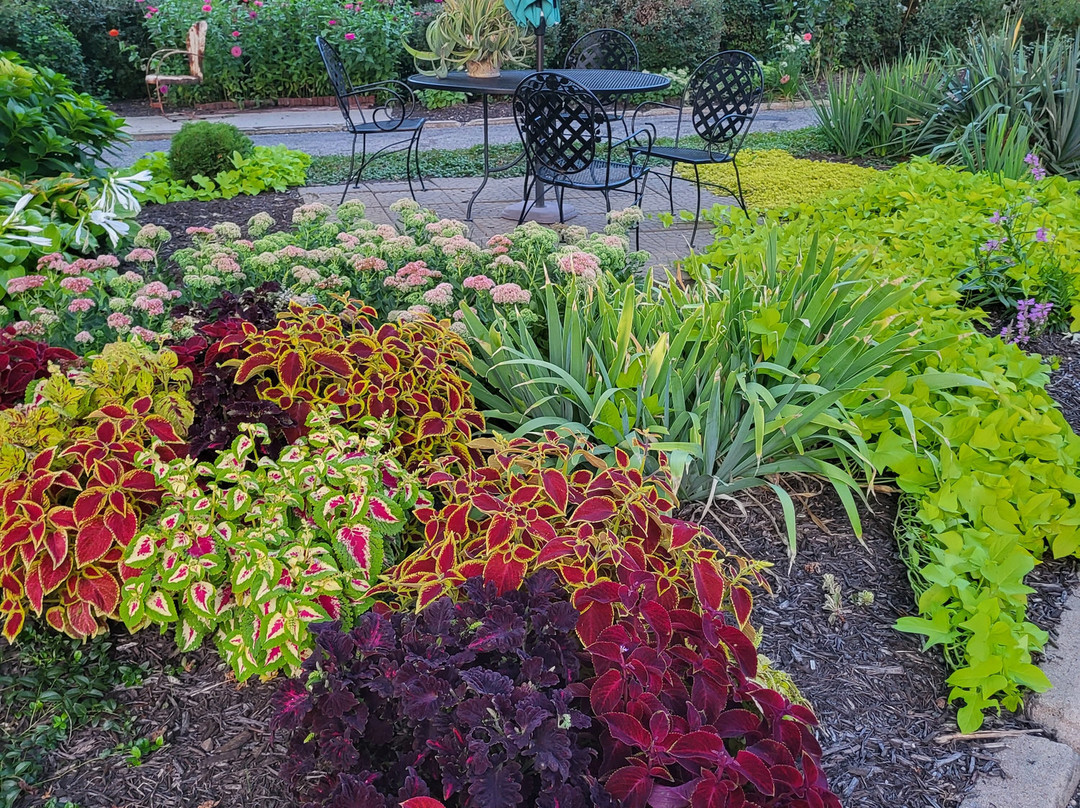 Shakespeare Chateau Inn and Gardens Bed & Breakfast主图