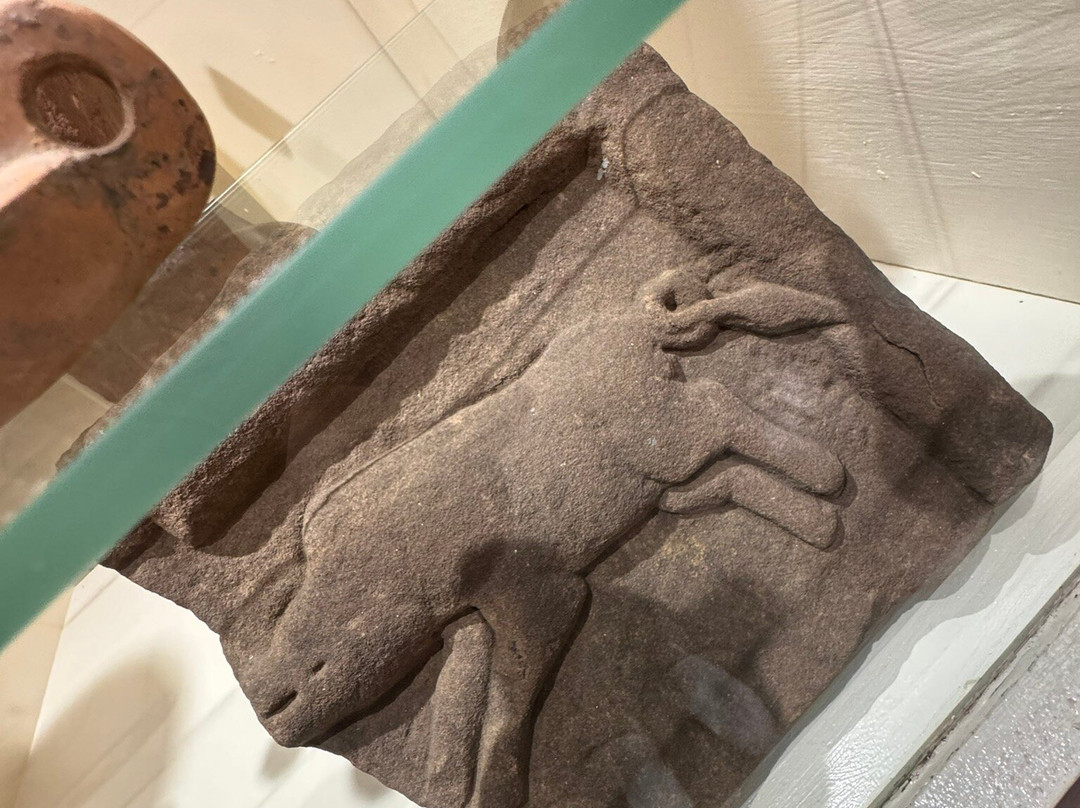 Senhouse Roman Museum景点图片