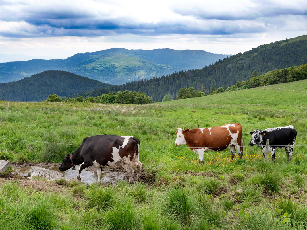 Le Col De La Schlucht-Le Valtin必去景点