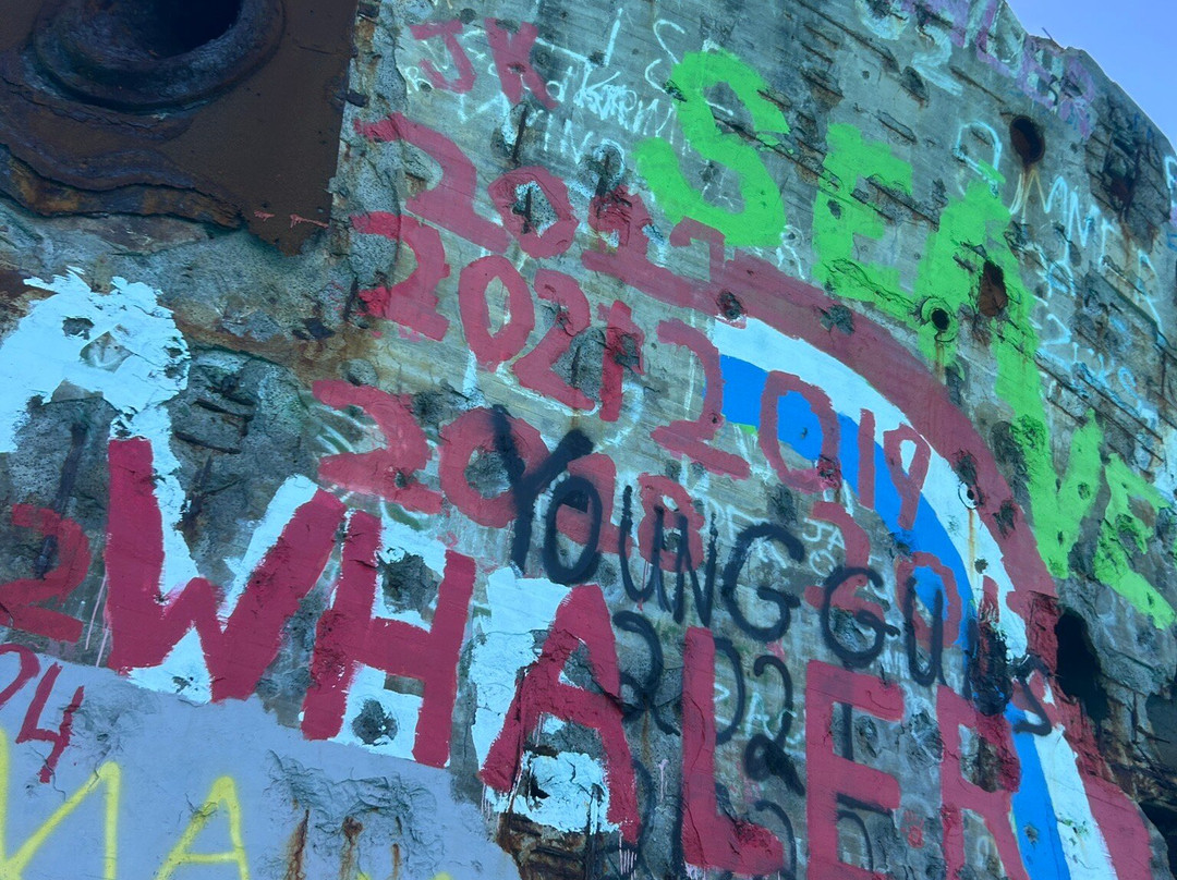 Sapona-Bimini必去景点