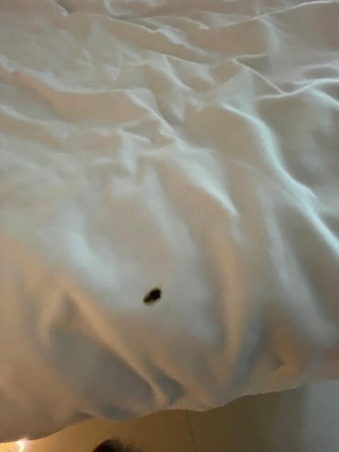 奈扬酒店主图