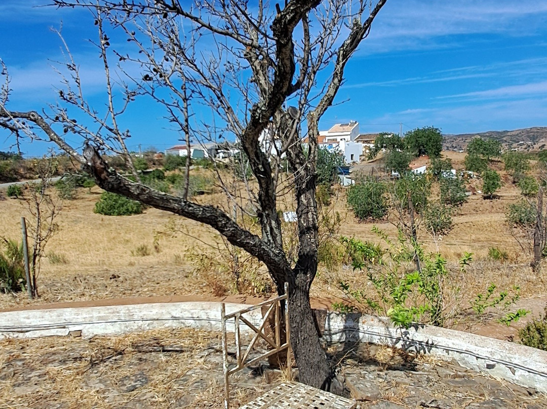 Monte do Malhão主图