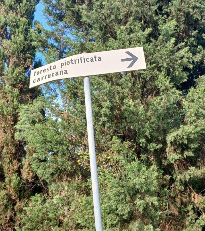 La foresta pietrificata di Martis-Martis必去景点