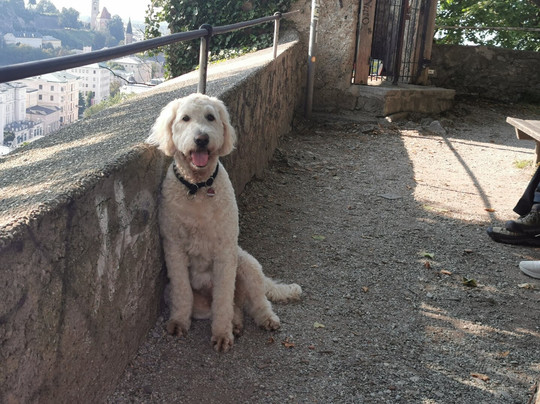 Hettwer Bastei-萨尔茨堡必去景点