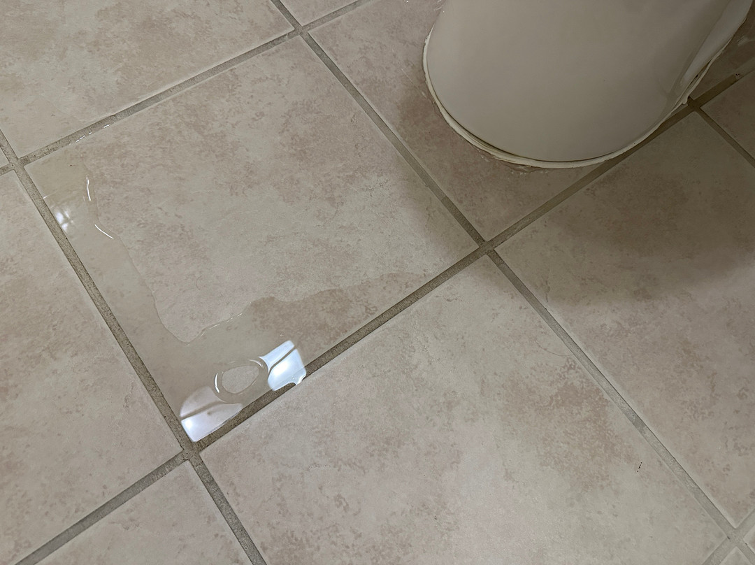 西提顿贝斯特韦斯特酒店主图