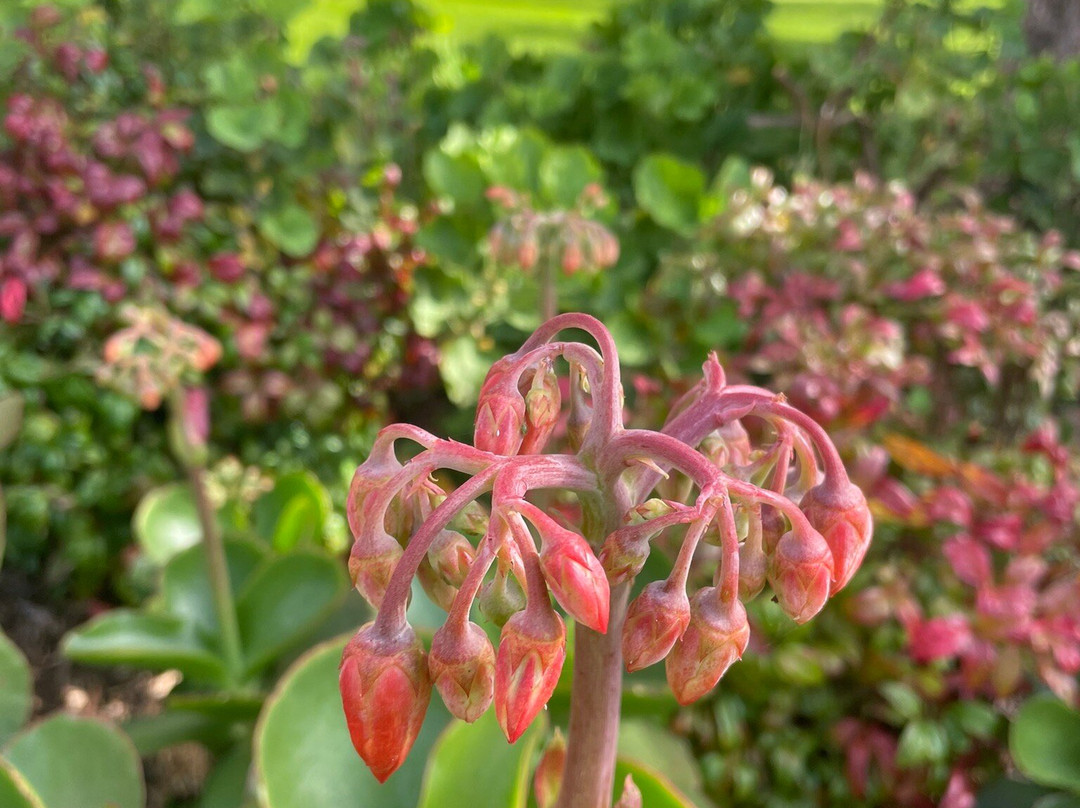 St Mary's Catholic Church-Yarram必去景点