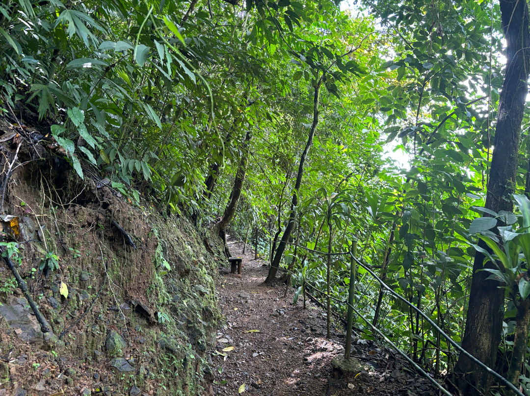 Manuel Antonio Trekking and Waterfalls Tours景点图片