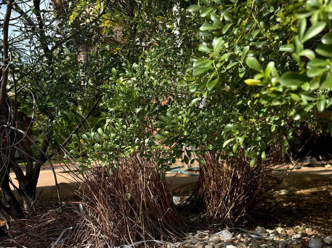 Pine Creek Hotel Motel主图