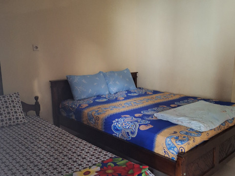 Excellent Yogya Driver-日惹必去景点