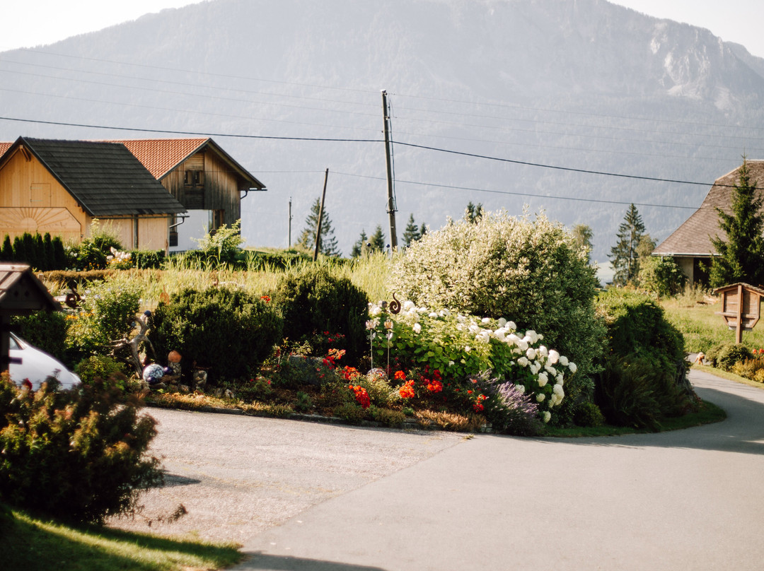 Berghotel Presslauer主图