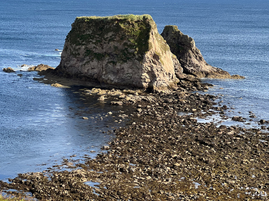 Above and Beyond Tours of Caithness景点图片
