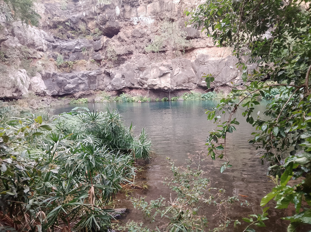 Bassin des Aigrettes景点图片