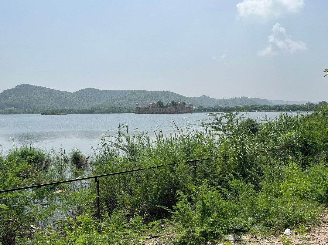 Man Sagar Lake-斋蒲尔必去景点