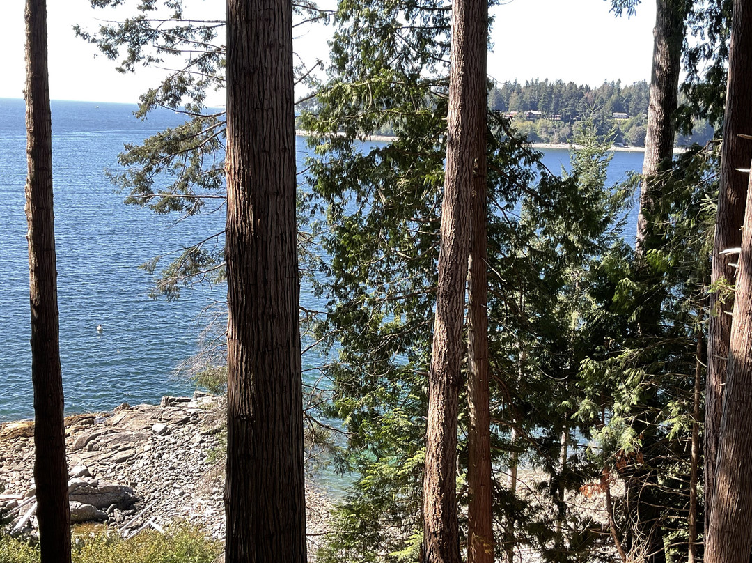 Tsuga Beach Inn