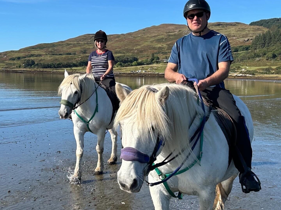 Mull Pony Trekking-马尔岛必去景点