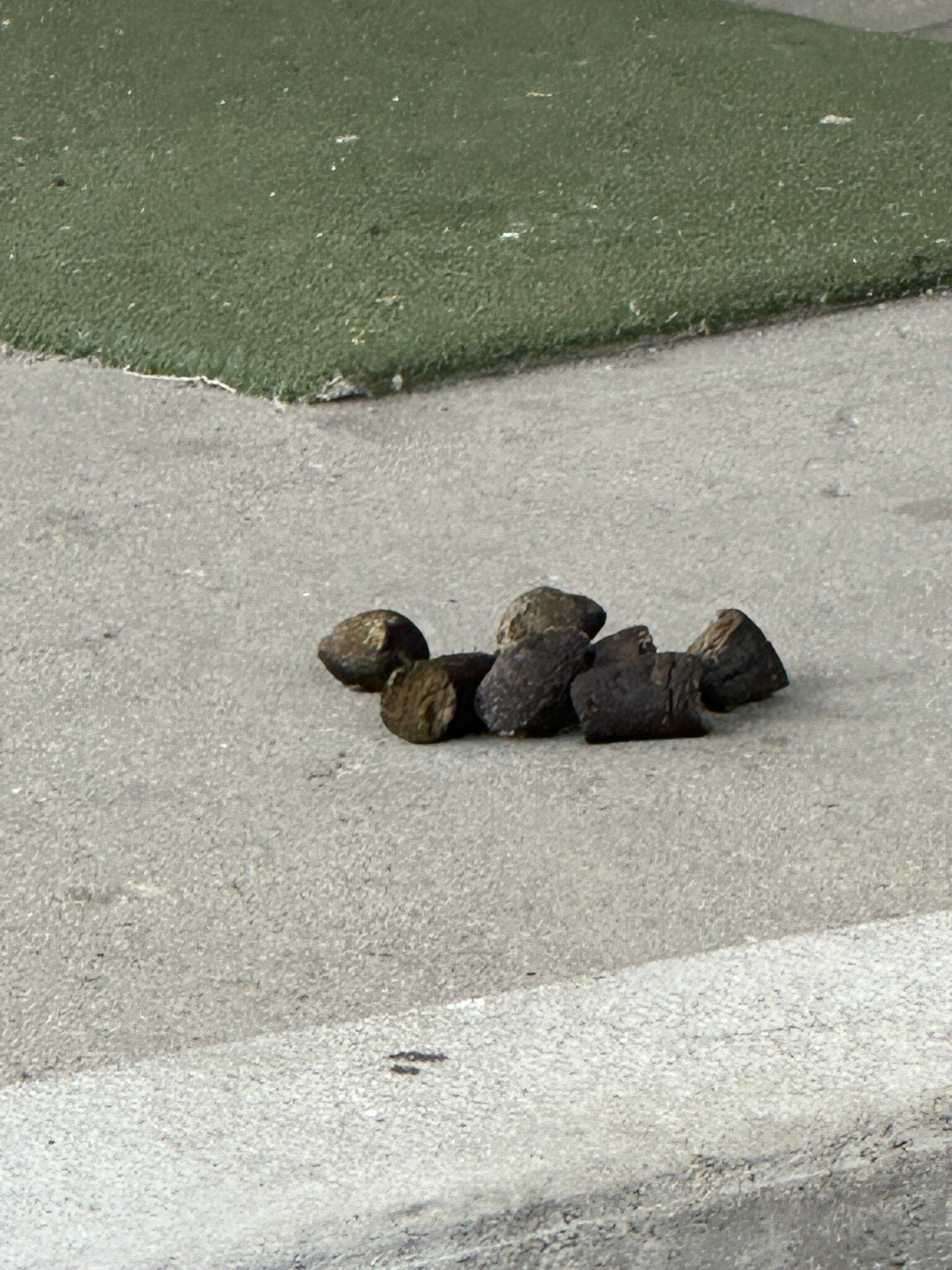 Motel 6 Minot, ND-官方