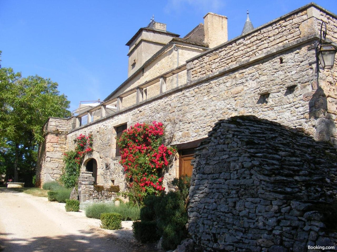 Chateau de Laumiere主图